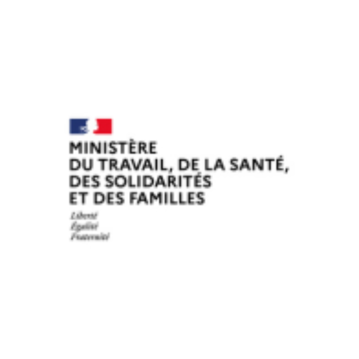 Ministere du Travail DGEFP/MISI - Dinum